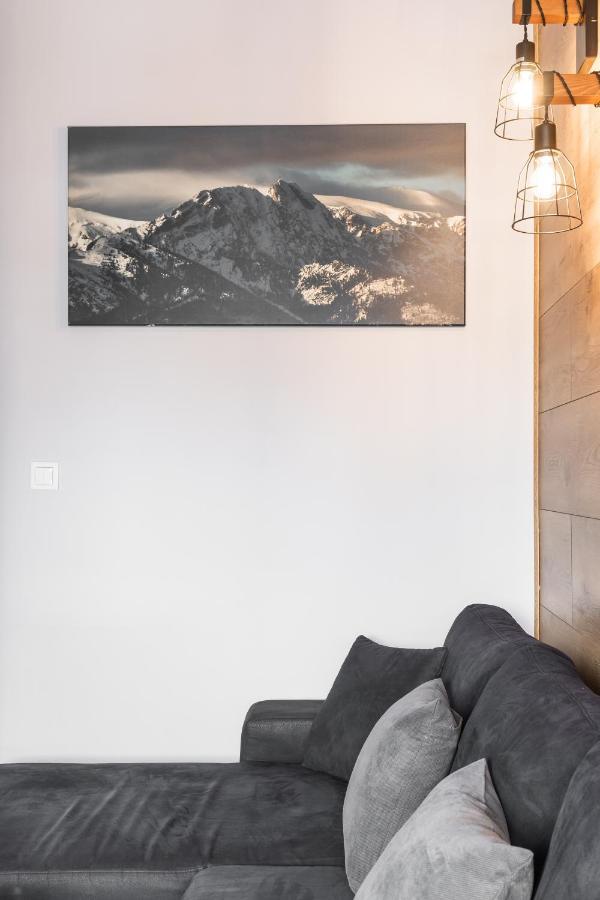 Apartament Top ザコパネ エクステリア 写真